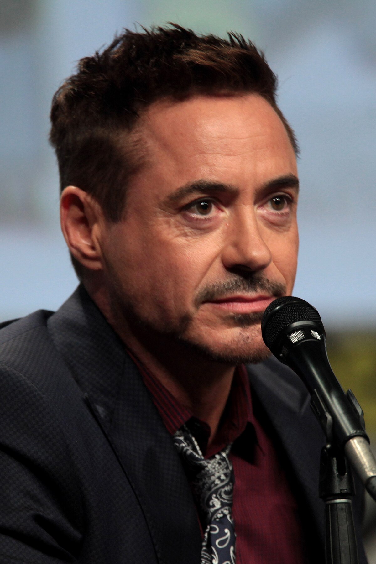 Robert Downey Jr. – Acteur, connu pour Iron Man et Avengers : Endgame